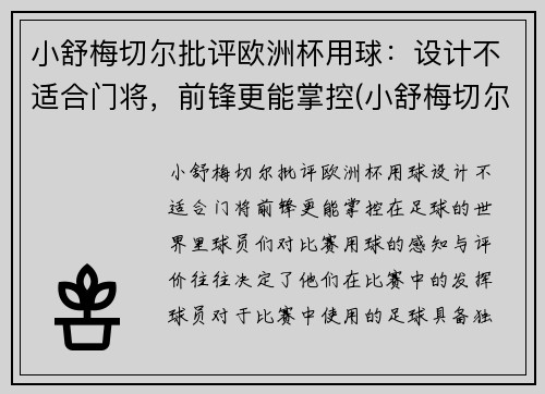 小舒梅切尔批评欧洲杯用球：设计不适合门将，前锋更能掌控(小舒梅切尔英冠进球)